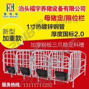 母猪定位栏的优势使用定位栏的好处福宇养猪设备有限公司