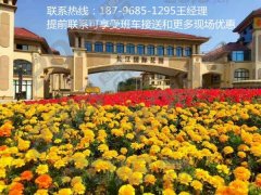 泰兴长江国际花园现在卖的怎么样？有详细资料吗？