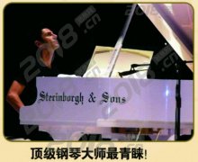 世界钢琴好声音·斯坦伯格钢琴