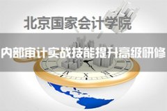 内部控制审计风险案例_风险管理培训实务_北京国家会计学院