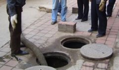 专业化粪池清理管道清淤管道疏通下水道马桶地漏洗菜池