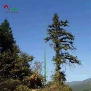 隐蔽雷达站玻璃钢避雷针 15米17米19米绝缘透波防雷升降杆